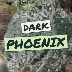 Dark Phoenix Cannabis Strain
