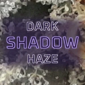 Dark Shadow Haze Cannabis Strain