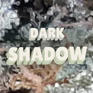 Dark Shadow Cannabis Strain