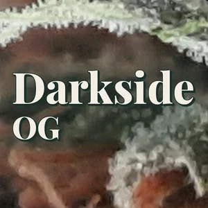 Darkside OG Cannabis Strain