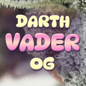 Darth Vader OG Cannabis Strain