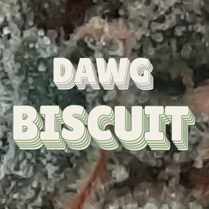 Dawg Biscuit Cannabis Strain
