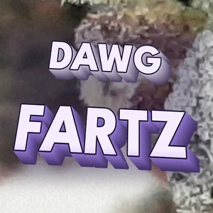 Dawg Fartz Cannabis Strain