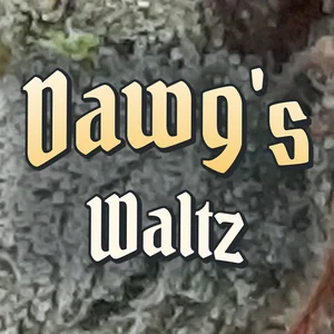 Dawg's Waltz Cannabis Strain