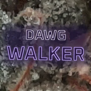 Dawg Walker Cannabis Strain