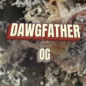 Dawgfather OG Cannabis Strain