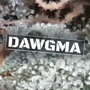 Dawgma Cannabis Strain