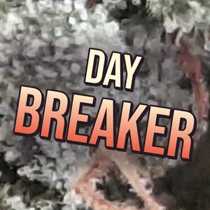 Day Breaker Cannabis Strain