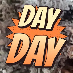 Day Day Cannabis Strain