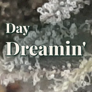 Day Dreamin' Cannabis Strain
