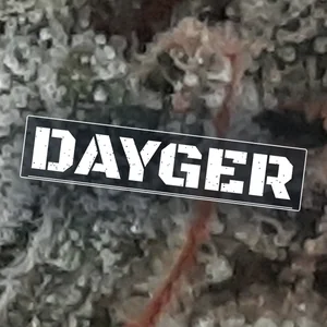 Dayger Cannabis Strain