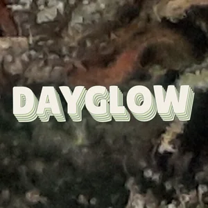 Dayglow Cannabis Strain