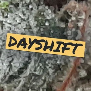 Dayshift Cannabis Strain