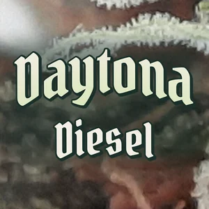 Daytona Diesel Cannabis Strain