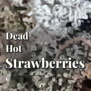 Dead Hot Strawberries Cannabis Strain