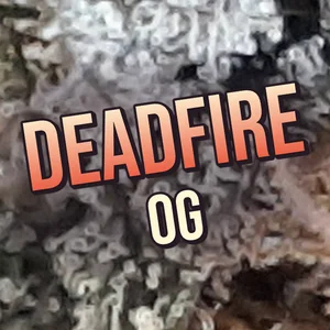 Deadfire OG Cannabis Strain