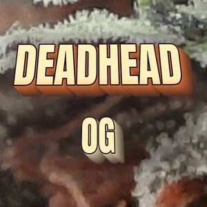 Deadhead OG Cannabis Strain