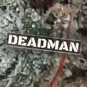 Deadman Cannabis Strain