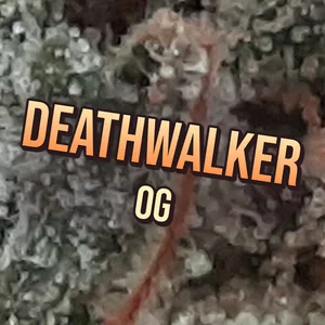 DeathWalker OG Cannabis Strain