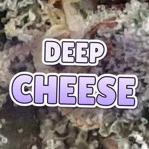 Deep Cheese Cannabis Strain
