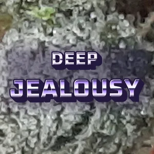 Deep Jealousy Cannabis Strain