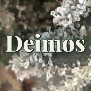 Deimos Cannabis Strain