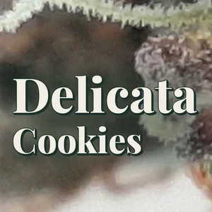 Delicata Cookies Cannabis Strain