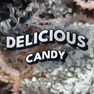 Delicious Candy Cannabis Strain