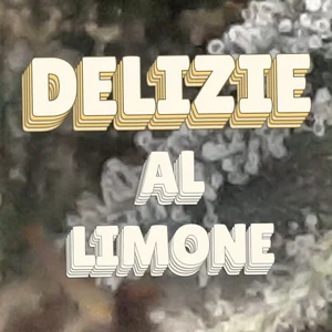 Delizie al Limone Cannabis Strain