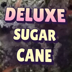 Deluxe Sugar Cane Cannabis Strain