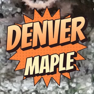 Denver Maple Cannabis Strain