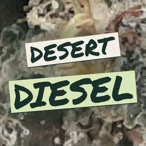 Desert Diesel Cannabis Strain