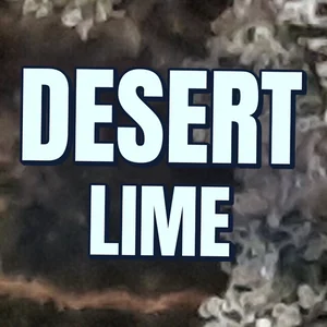 Desert Lime Cannabis Strain