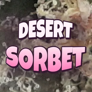 Desert Sorbet Cannabis Strain