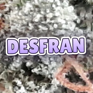 Desfran Cannabis Strain