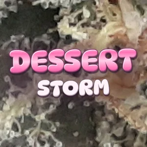 Dessert Storm Cannabis Strain