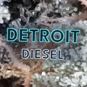 Detroit Diesel Cannabis Strain