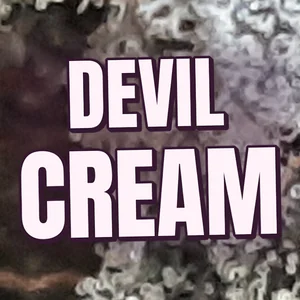 Devil Cream Cannabis Strain