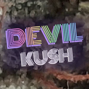 Devil Kush Cannabis Strain