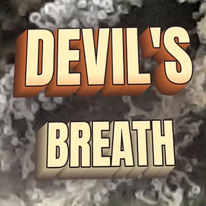 Devil's Breath Cannabis Strain