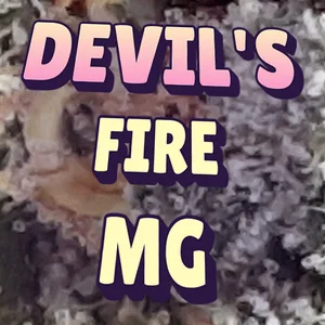 Devil's Fire Mg Cannabis Strain