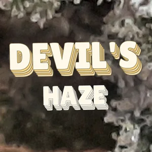 Devil's Haze Cannabis Strain
