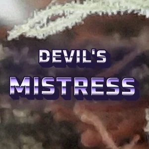 Devil's Mistress Cannabis Strain