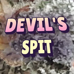 Devil's Spit Cannabis Strain