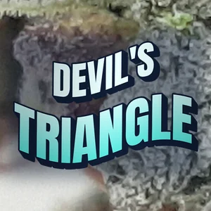 Devil's Triangle Cannabis Strain