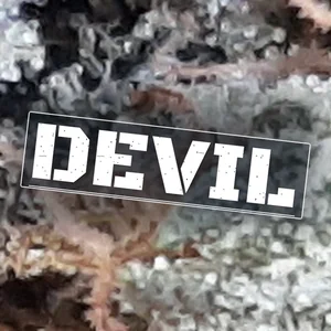 Devil Cannabis Strain