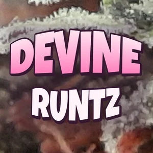 Devine Runtz Cannabis Strain