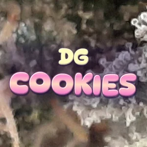 DG Cookies Cannabis Strain