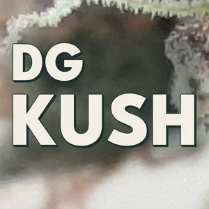 DG Kush Cannabis Strain