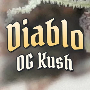 Diablo OG Kush Cannabis Strain